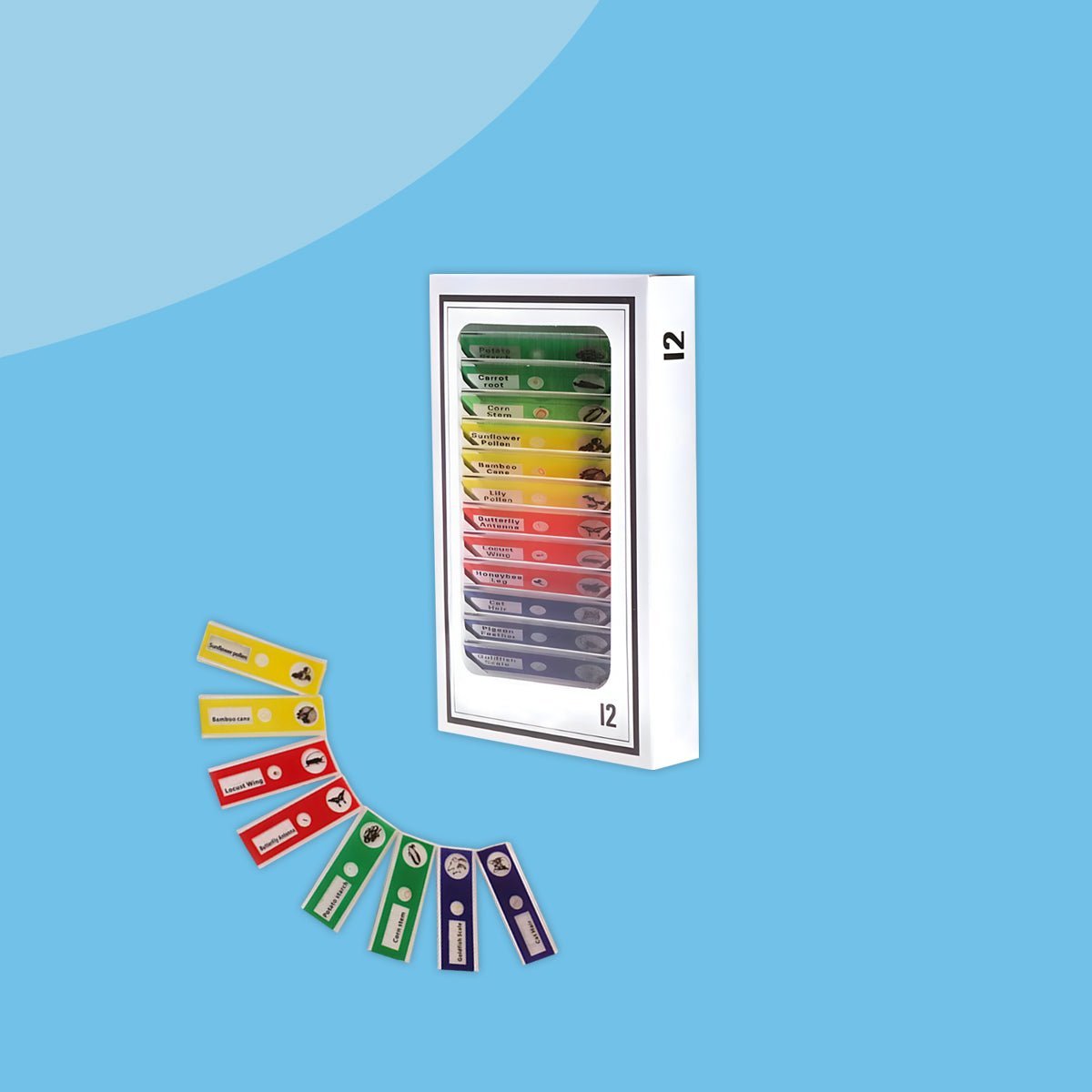 12 Spécimens à Analyser (Cadeau Offert) - Enfant Joyeux FR