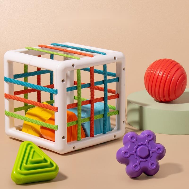 Boîte Montessori ouverte avec plusieurs activités d’apprentissage